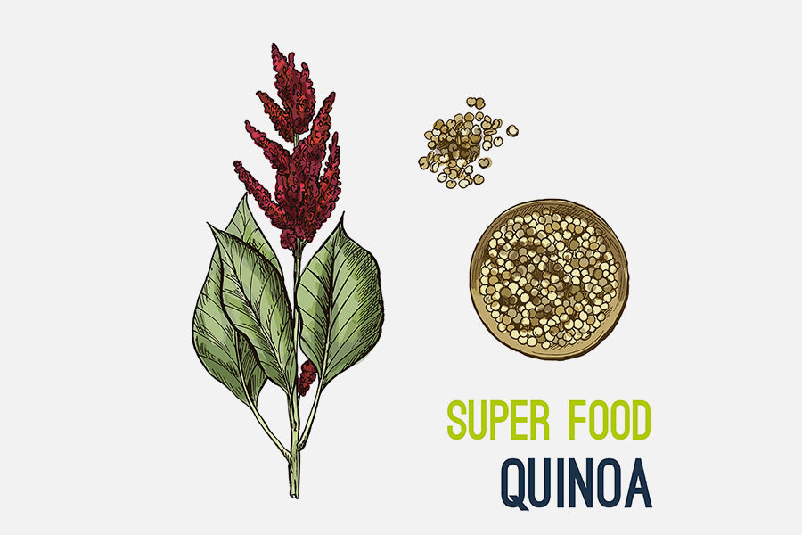 Quinoa Flour